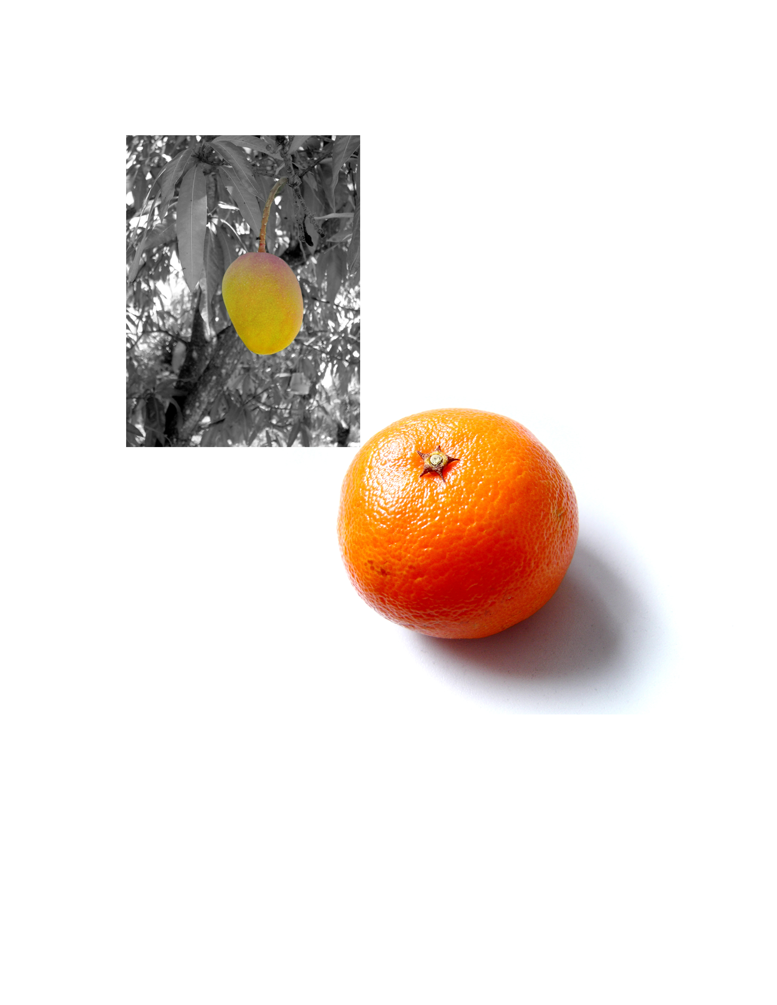 mango mandarin